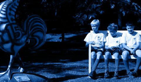 Stage du 05 au 10 juillet